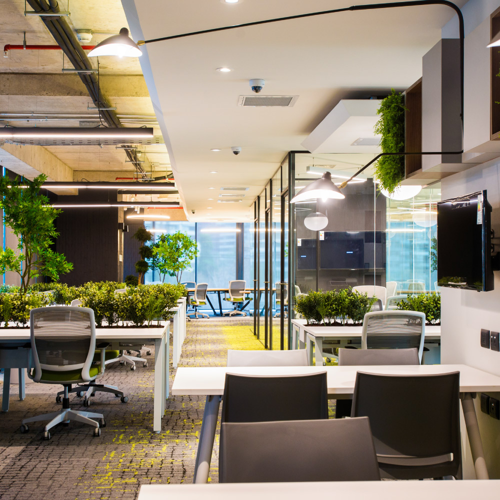 OFICINAS GRUPO PATIO